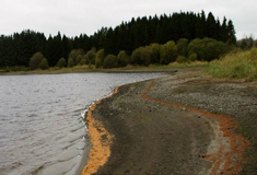 Fluctuating water levels in Lough Pollaphuca, Ireland. Photo taken by Vesela Evtimova